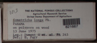 Image Associated With the Occurence